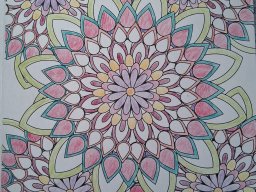 whatsapp image 2025-12-31 at 12.24.01